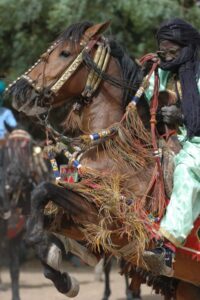 Fulani chevalier at FECHIBA